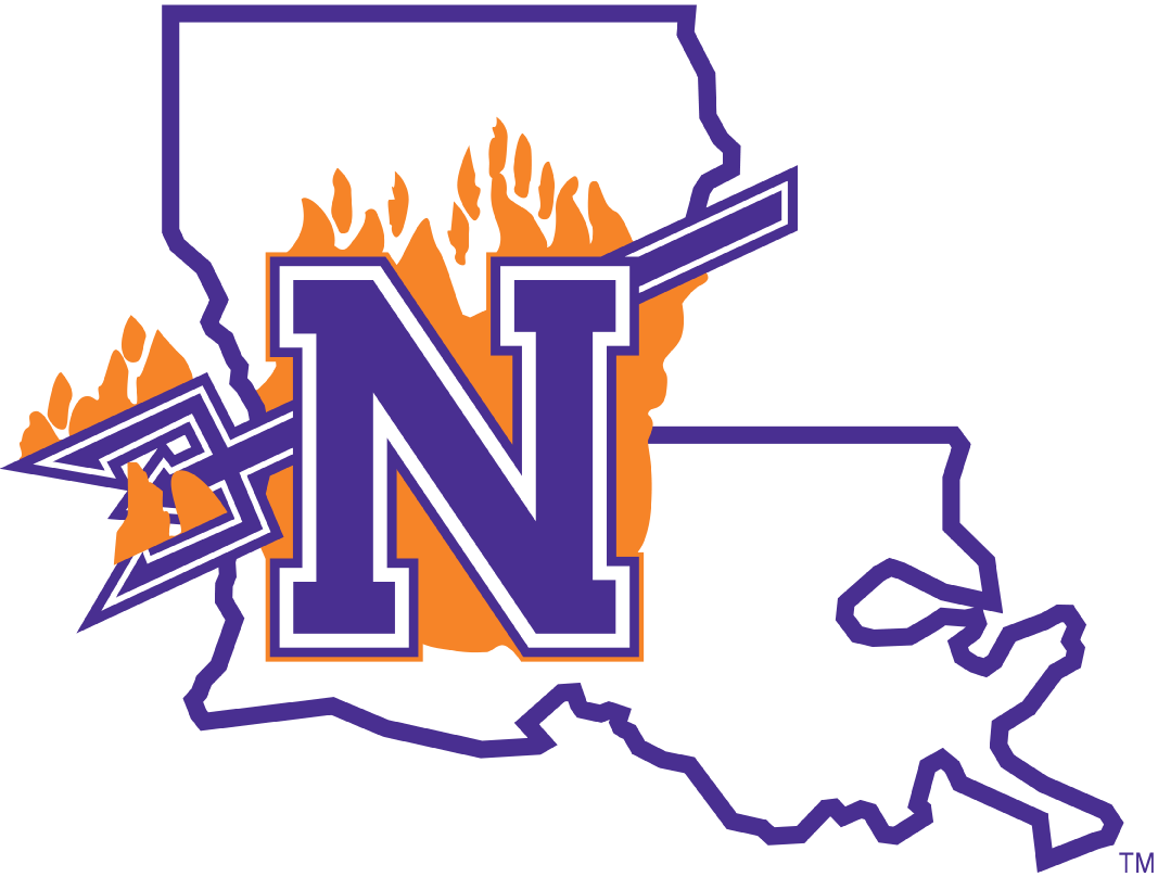 Northwestern State Demons 2008-2013 Primary Logo DIY iron on transfer (heat transfer)